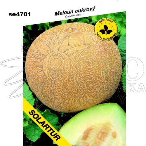 Meloun cukrový SOLARTUR